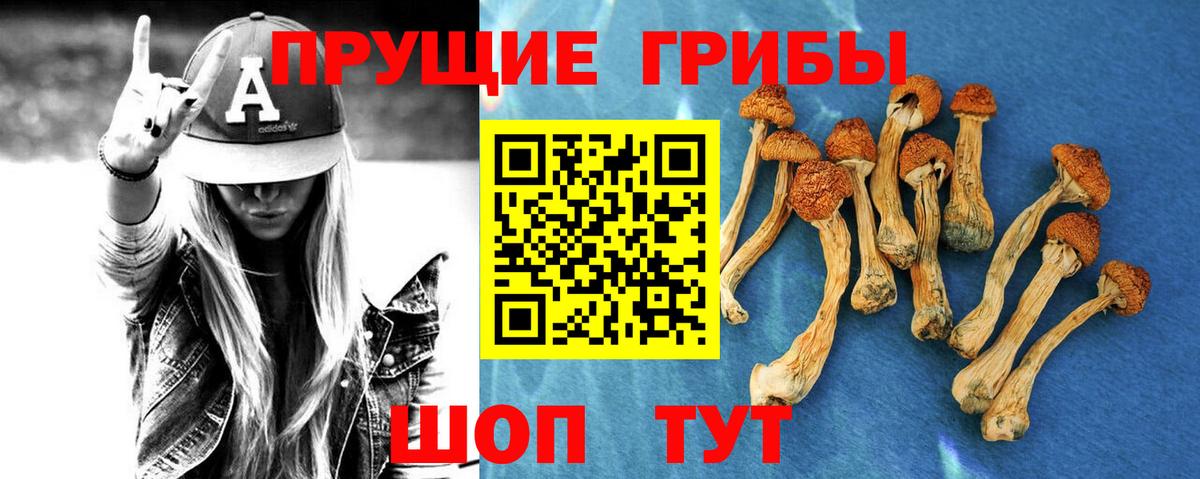 Псилоцибиновые грибы GOLDEN TEACHER  Вход с VPN  Курск 