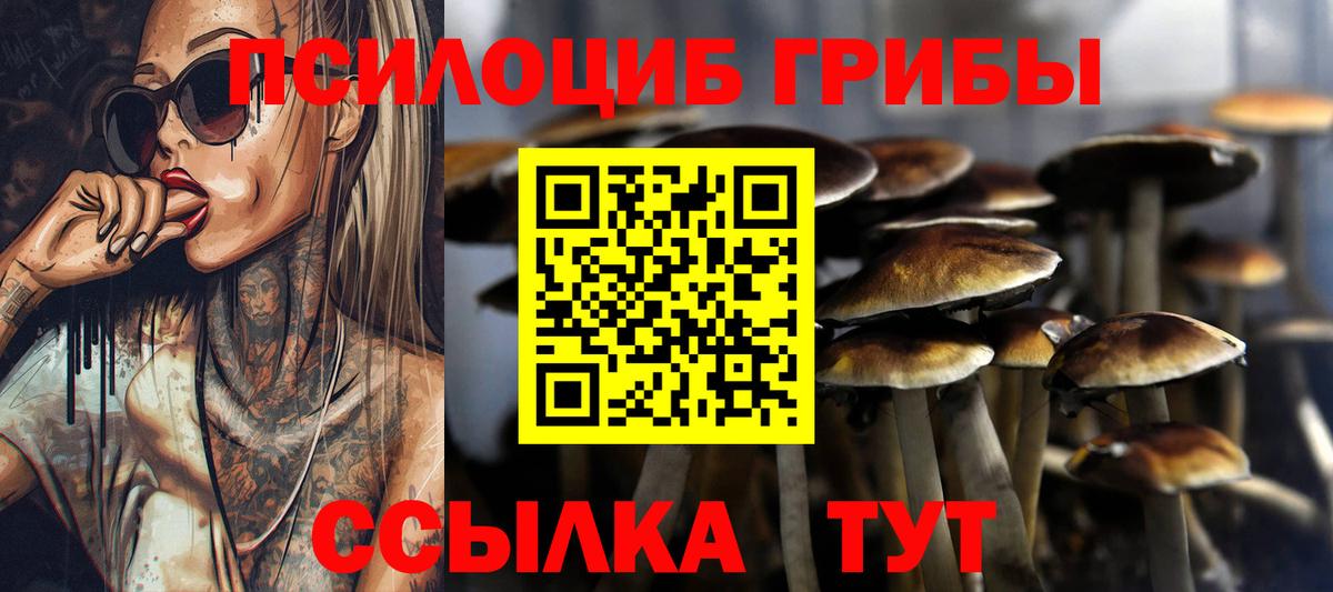 Псилоцибиновые грибы ЛСД Курск